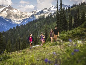 Explore the summer alpine as wildflowers emerge on the mountains.