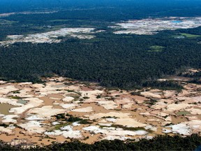 An aerial view over a chemically deforested area of the Amazon jungle caused by illegal mining activities in the river basin of the Madre de Dios region in southeast Peru, on May 17, 2019, during the 'Mercury' joint operation by Peruvian military and police ongoing since February 2019.
