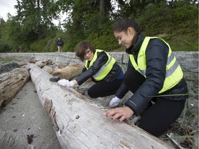 Charlotte Brady (left) and Anastasia Castro clean-up plastics and other refuse scraps from the shoreline at Second Beach in Vancouver, BC's Stanley Park Saturday, June 8, 2019. Volunteers from the Vancouver Surfrider Foundation scoured local beaches Saturday as part of the Great Canadian Shoreline Cleanup initiative.
