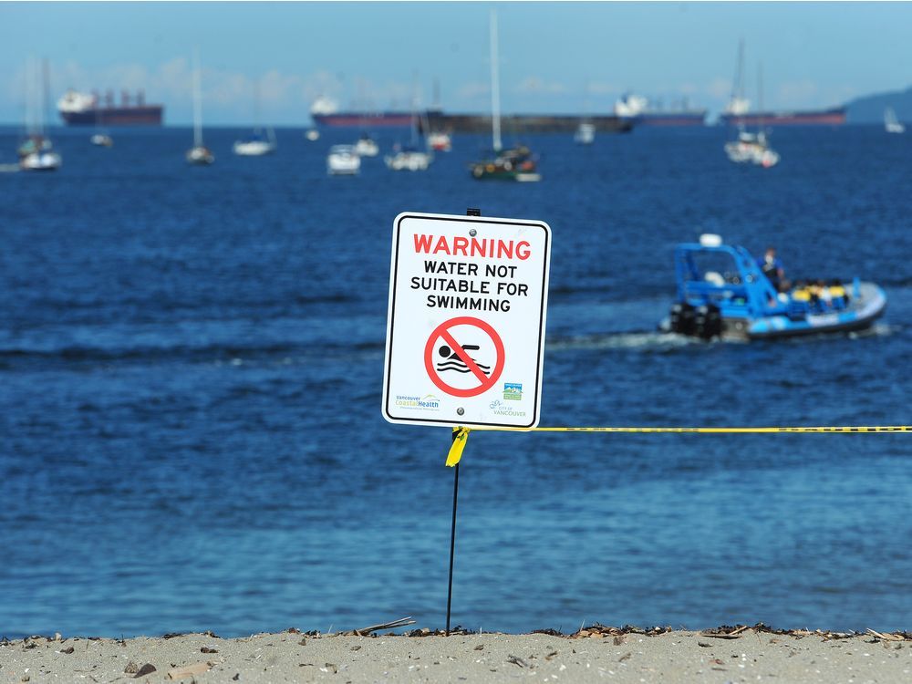 Sunset Beach closed to swimmers due to high E. coli levels Vancouver Sun