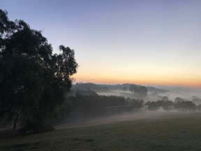 A swirl of fog envelopes the Hunter Valley at sunrise.