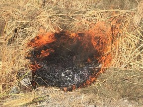Park rangers in Stanley Park jumped into action on Tuesday morning after a small brush fire was discovered smouldering near Tisdall Walk.