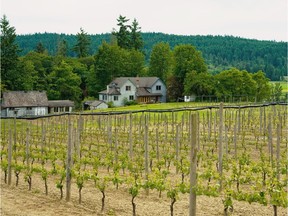 The Cowichan Valley Wine Festival runs Aug. 23 to 25 in 2019. Pictured is Venturi Schulze Winery.