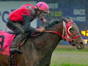 Jockey Jeffrey Burningham is a popular, and unlucky, figure around Hastings Racecourse