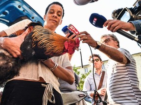 A woman holding a rooster in her arms talks to the press in Rochefort, western France, on July 4, 2019 where the high court (Tribunal de Grande Instance) is set to rule on whether a lively cockerel should be considered a neighbourly nuisance in a case that has led to shrieks of protest in the countryside.