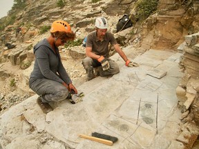 Dr. Jean-Bernard Caron and Dr. Maydianne Andrade at the quarry site discussing newly revealed fossils in this handout image. Filming Researchers at the Royal Ontario Museum and University of Toronto have uncovered fossils of a large predatory species in 506-million-year-old rocks in the Canadian Rockies.