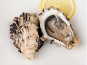 A shucked oyster harvested from British Columbia is pictured in this file photo.