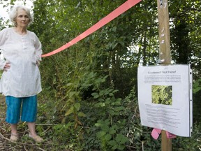 Cynthia Nugent is concerned that the city sprayed invasive knotweed with herbicide near a popular blackberry patch on the Arbutus Greenway.