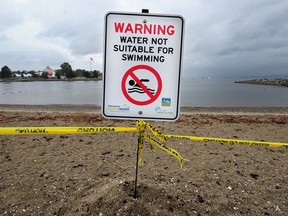 Sunset Beach in Vancouver is under a swimming advisory due to high E. coli counts.