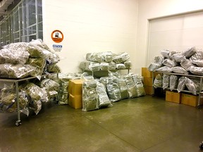 Four men from Surrey and Langley have been charged following a series of 2019 raids that saw 1,200 kilograms of dried cannabis and 5,300 marijuana plants seized.