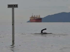 VANCOUVER, BC.: JUNE 13, 2012 - A lone swimmer makes his way back to the beach on a slow, cloudy day at Kits Beach  in Vancouver, B.C., June 13, 2012.    (Arlen Redekop photo/ PNG)   (For story by [Jeff Green])  00062172