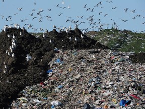 (SENT TO SAXO) File photo of the landfill in Ladner. Waste diversion continues to be a challenge for Metro Vancouver.