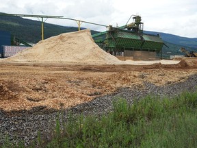 Canfor Corp.'s closed sawmill in Vavenby.