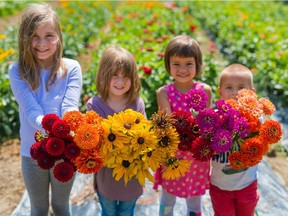 The first Cultus Lake Flower Festival opens Aug. 15. Cousins, from left, Anna, Amelia, Anika and Ben show off some of the blooms.