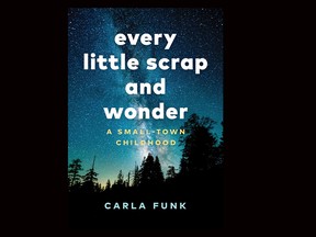 Cover of Every Little Scrap and Wonder by Carla Funk. For 0803 review sandborn