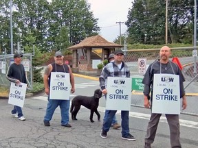 Approximately 3,000 forestry workers have been on strike in coastal B.C. since July after negotiations between Western Forest Products Inc. and the United Steelworkers failed to produce a contract.