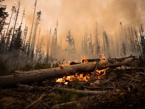 CP-Web. More than 215,000 hectares of forest burned around the city during the record-smashing 2017 wildfire season. (That the 1.2 million hectares burned across the province was surpassed the very next year gave comfort to no one.)
