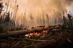 CP-Web. More than 215,000 hectares of forest burned around the city during the record-smashing 2017 wildfire season. (That the 1.2 million hectares burned across the province was surpassed the very next year gave comfort to no one.)