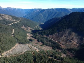 The Upper Smitheram Creek Valley in the Donut Hole that Imperial Metals is proposing to explore. A coalition of more than 110 environmental, First Nation and business groups oppose mine development in the area.