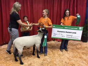PNE agriculture manager Christie Kerr shakes the hand of Brianna Morrison, 11, of the 4 Corners 4-H Club at the fair's 4-H auction on Aug. 19, after Kerr was the successful bidder for Buster, the lamb Brianna raised. In a longtime yearly tradition, the PNE buys a champion lamb or pig to have butchered and donated to a charity.