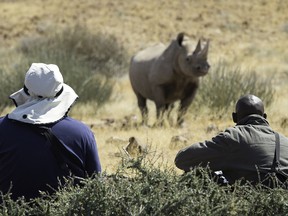 Wilderness Safaris Desert Rhino Camp allows visitors to accomany trackers to view rhinos.