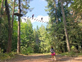 Reach new heights with WildPlay Nanaimo.