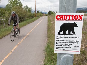 Bear warning sign on Legacy Trail between Banff and Canmore on Thursday May 19, 2016. Mike Drew/Postmedia