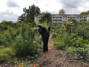 A participant in the 2018 soundwalk Meet Me in the Listening in Strathcona. A new soundwalk takes place on Burrard Bridge Aug. 1. Photo: Elizabeth Ellis