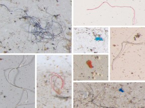 A collage of microplastics (threads, beads, shards) discovered by U.S. geologists on the mountain slopes of the Rocky Mountain National Park.