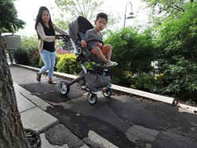 Areas where sidewalks are broken or collapsing can be difficult for people with wheeled vehicles such as wheelchairs or strollers.