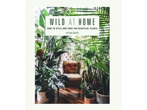 Wild at Home – How to Style and Care for Beautiful Plants, by Hilton Carter.