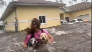 Julia Aylen wades through waist deep water carrying her pet dogs as she is rescued from her flooded home during Hurricane Dorian in Freeport, Bahamas, Tuesday, Sept. 3, 2019. Practically parking over the Bahamas for a day and a half, Dorian pounded away at the islands Tuesday in a watery onslaught that devastated thousands of homes, trapped people in attics and crippled hospitals.