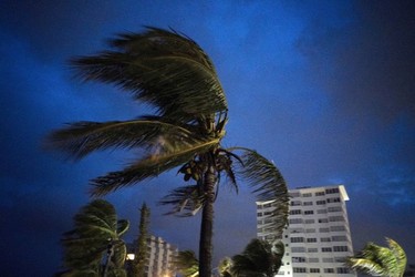 Strong winds move the palm trees at the first moment of the arrival of Hurricane Dorian in Freeport, Grand Bahama, Bahamas, Sunday Sept. 1, 2019.
