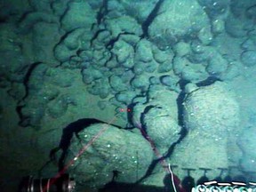 Deep-sea pillow lavas emplaced on the ocean bottom near the Juan de Fuca ridge. Scientists have said these undersea volcanic rocks could be used as a vast repository for greenhouse gases.