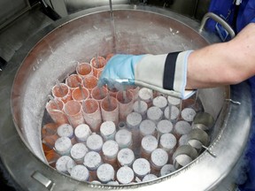 A medical technician prepares embryo and sperm samples for freezing at the Laboratory of Reproductive Biology CECOS of Tenon Hospital in Paris, France, Sept. 19, 2019.