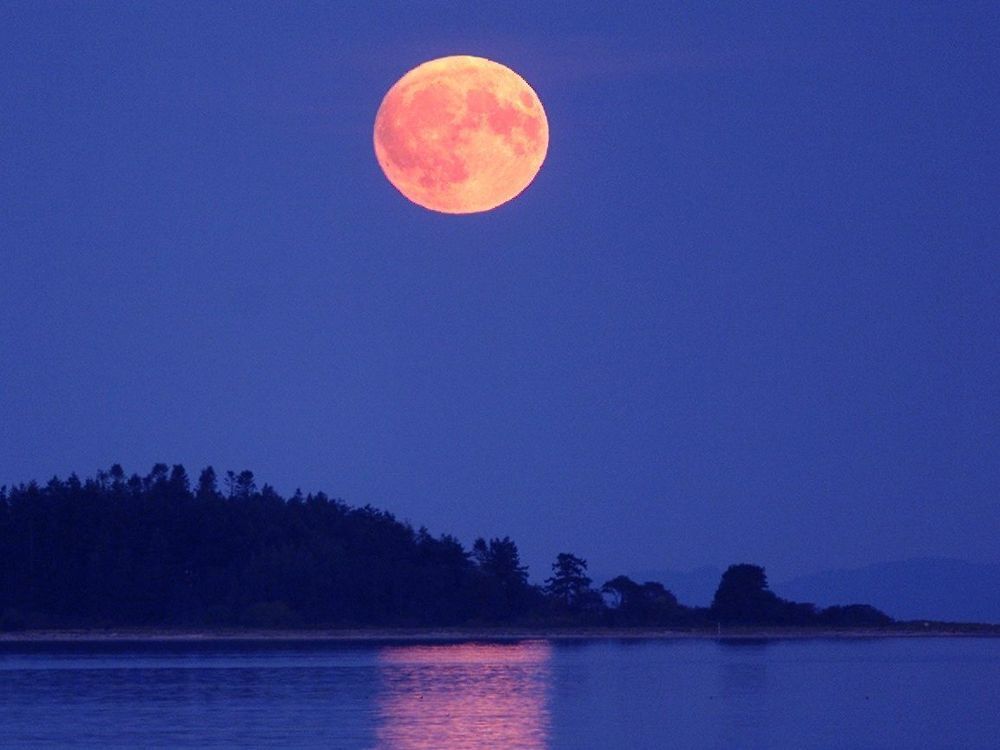 Beautiful Super Harvest Moon reaches its peak tonight •