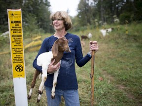 Barbara Gard is pictured on her land which runs along the Trans Mountain pipeline and is where construction will take place for the expansion taking away grazing land for her goats and other livestock in Abbotsford.
