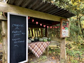 Farm stands are just one sign of the island’s thriving farming community.