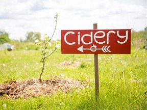 Many great B.C. cideries are producing uniquely flavoured apple ciders. Photo: Fraser Valley Cider Company.