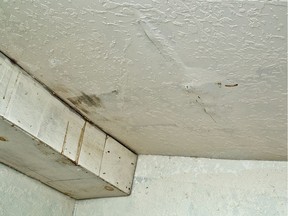 Mold and mildew in our houses is leading to what is called Sick Home Syndrome.