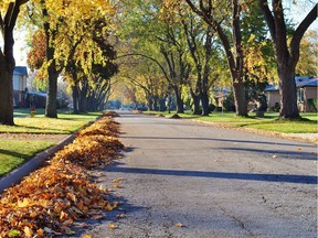 Homeowners who spread yard leaves onto the street in Vancouver are liable to a $10,000 fine, so bag them up for the first extra leaf collection this weekend.