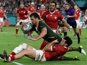 South Africa's centre Frans Steyn (C) dives a scores a try past Canada's centre Ciaran Hearn (down) and  Canada's scrum-half Phil Mack (up)  during the Japan 2019 Rugby World Cup Pool B match between South Africa and Canada at the Kobe Misaki Stadium in Kobe on October 8, 2019.