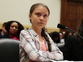 Greta Thunberg, renowned for her work inspiring a global movement for climate change, declined an environmental award by the Nordic Council.