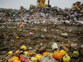 Piles of discarded fruit lie on the ground at a recycling centre.