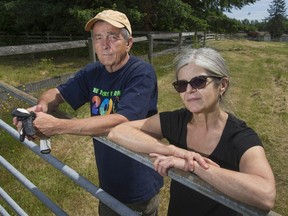 Langley, BC: JUNE 13, 2019 --  Cathy and Brian Fichter at their Langley, BC home Thursday, June 13, 2019. The Fichters co-own the property with their daughter and son-in-law, and recently moved to the 5-acre property from Cloverdale. They hoped to put another structure on the property for their daughter's family of 8 to live, but ALR restrictions and deadlines have so far stymied their plans.
