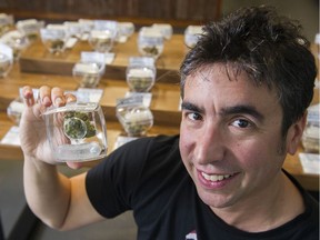 Mike Babins shows off a cannabis sample displayed in a sniff jar at the Evergreen Cannabis store in Kitsilano. Photo: Gerry Kahrmann