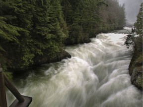File photo of the Capilano River. Under the B.C. government's restart plan, $27 million has been set aside for watershed security and wetland restoration.