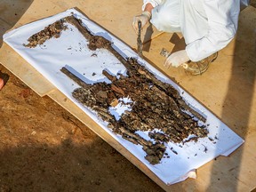 A picture taken on July 7, 2019 shows an archaeologist working on the supposed remains of French General Charles Etienne Gudin de la Sablonniere in Smolensk.