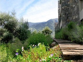 Edificio Terrazas del Condor in Santiago, a landscape design by Teresa Moller.