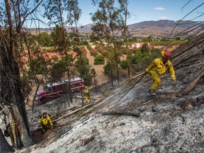 Firefighters from Napa Valley battle to control hotspots of the Maria Fire, in Santa Paula, Ventura County, Calif., on Nov. 02, 2019. The Maria Fire erupted Oct. 31 in Ventura County, 105 kilometres northwest of Los Angeles.